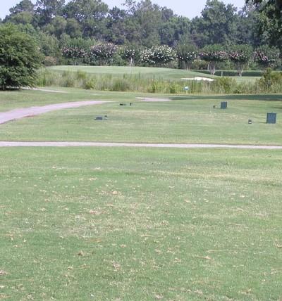 Hole17